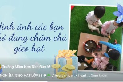 TRẢI NGHIỆM: GIEO HẠT LỚP 3B.