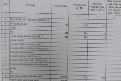 Công khai thực hiện dự toán thu chi ngân sách quý II năm 2021