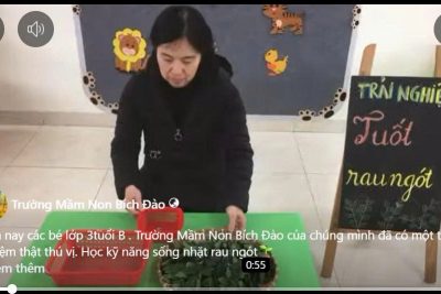 Hôm nay các bé lớp 3tuổi B . Trường Mầm Non Bích Đào của chúng mình đã có một trải nghiệm thật thú vị. Học kỹ năng sống nhặt rau ngót.