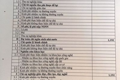 Quyết định về việc công khai bổ xung dự toán chi NSNN năm 2019 của trường mầm non Bích Đào