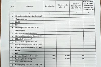Công khai thực hiện dự toán quý IV, 6 tháng cuối năm, năm 2024