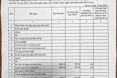 Công khai thực hiện dự toán thu – chi ngân sách quý I năm 2025